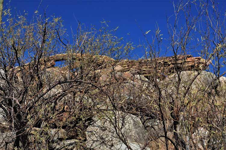 burn area